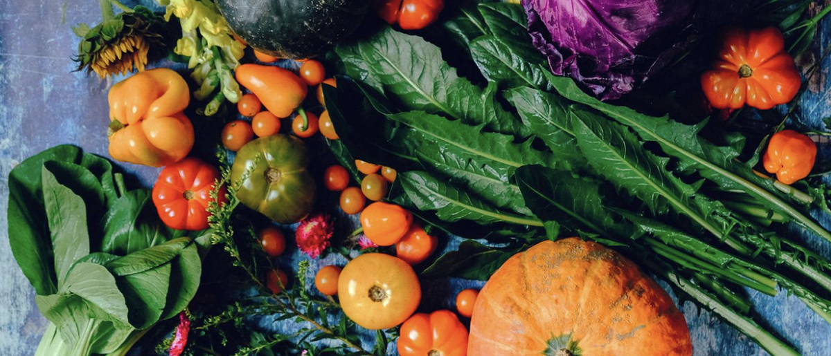 Best Foods and Habits for Lymphatic Health